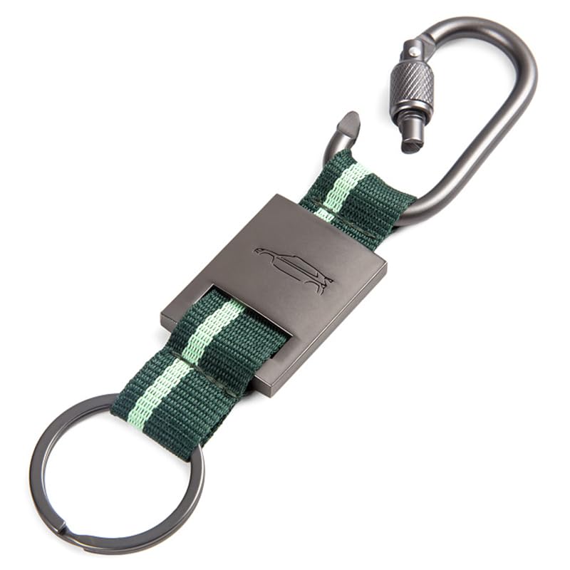 Skoda 000087010CJ Keyring Motorsport Carabiner Metal Pendant, Grey/Green, Green, standard size, Classic